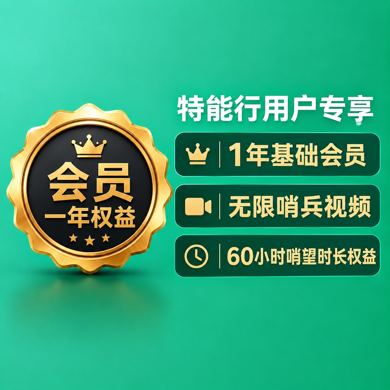 哨兵云智能盒子 行车记录仪远程播放器