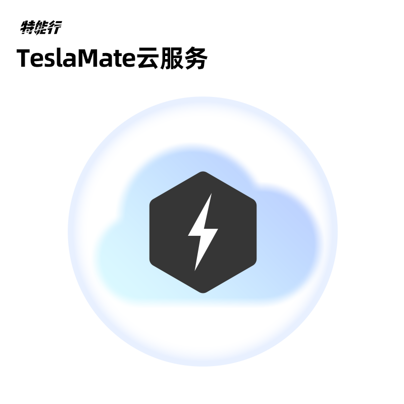 TeslaMate云服务
